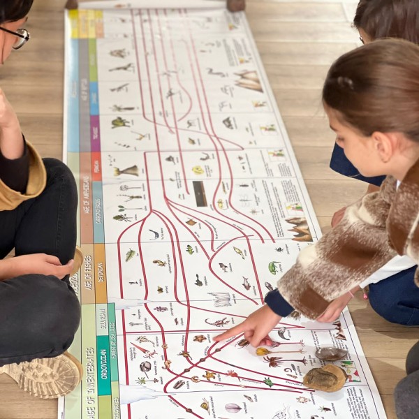 Montessori pedagogy Morocco explained. Origin, 7 key principles, benefits, and local adaptation with examples from Marrakech and Casablanca. Clear guide for parents and educators.